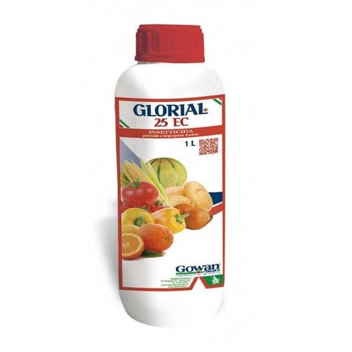 Glorial lt gowan - 25,