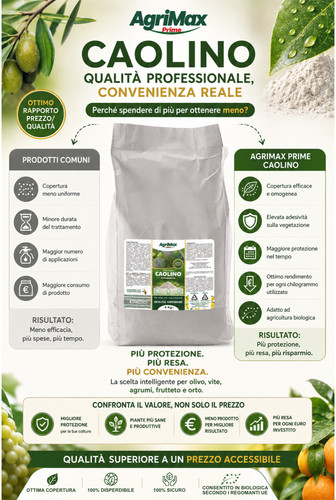 Caolino micronizzato bio - micronizzato,